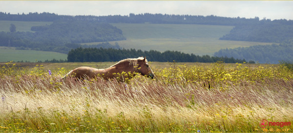 3737cc1e_0020000821734_00_600