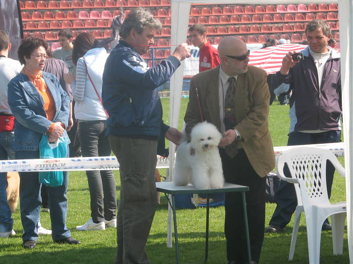 IMG_4778 - 98 expozitie chinologica craiova