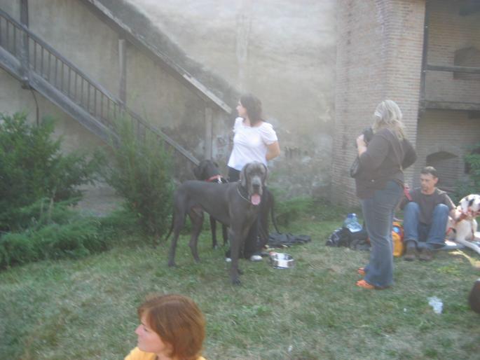 IMG_3300 - EXPO Tg Mures 2008