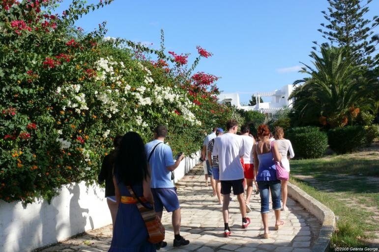 Tunisia_146 - Tunisia