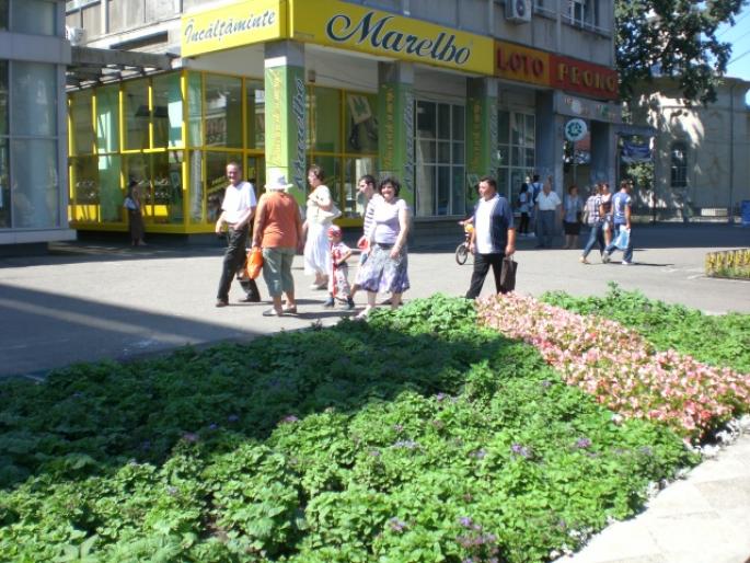 IASI 334