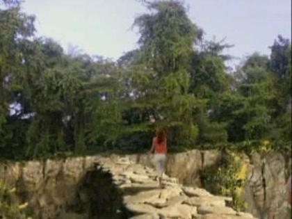 Wizards_of_Waverly_Place_The_Movie_125272'7063_4_2009 - Poze cu desene emisiuni etc