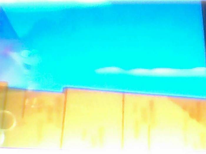 snapshot-146 - Pineas si Ferb