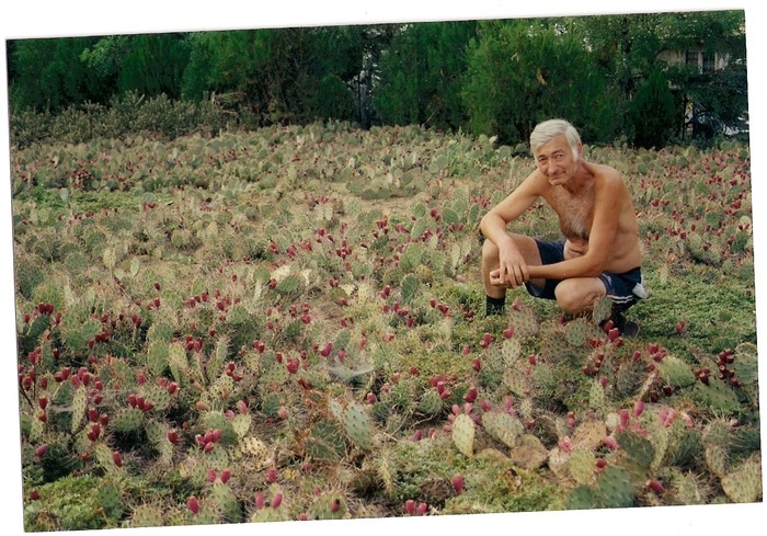 scan0007