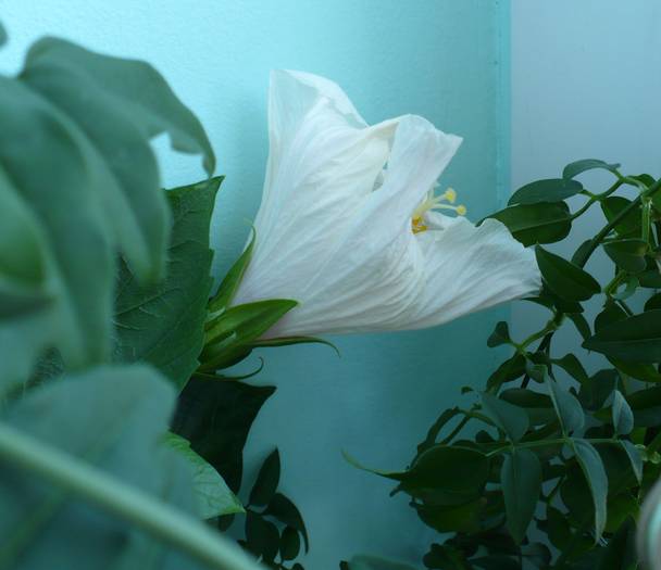 P1140186