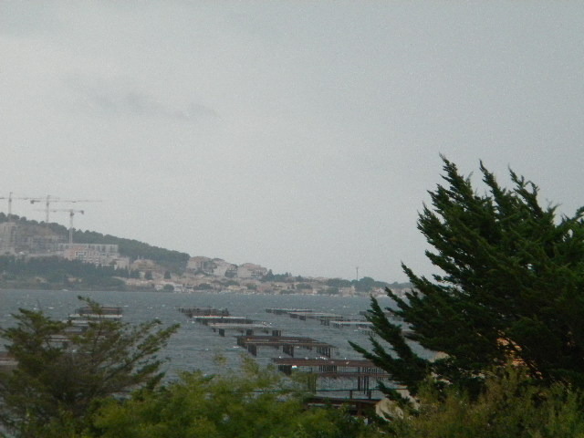 DSCN1589