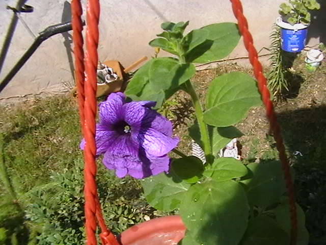 Picture 068