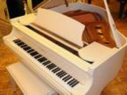 grand piano