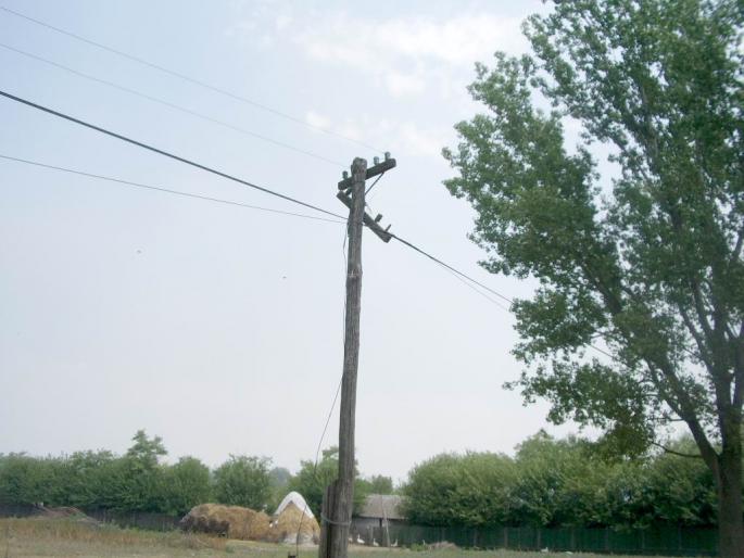 Alo? satelitul, ma auzi??? - Instantanee din natura