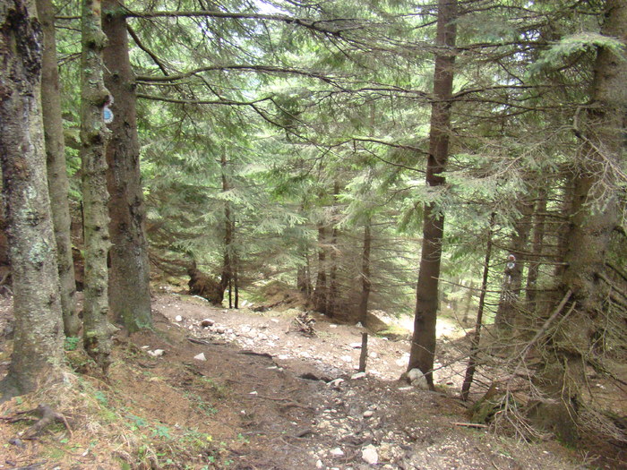 DSC04606