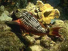 104 - poze muuuuuuuuuuuuuulte