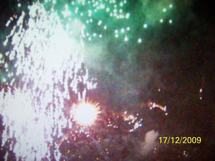 100_7067 - 1 Decembrie Timisoara