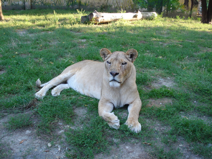 Picture 005