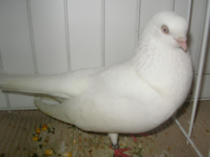 SANY0089