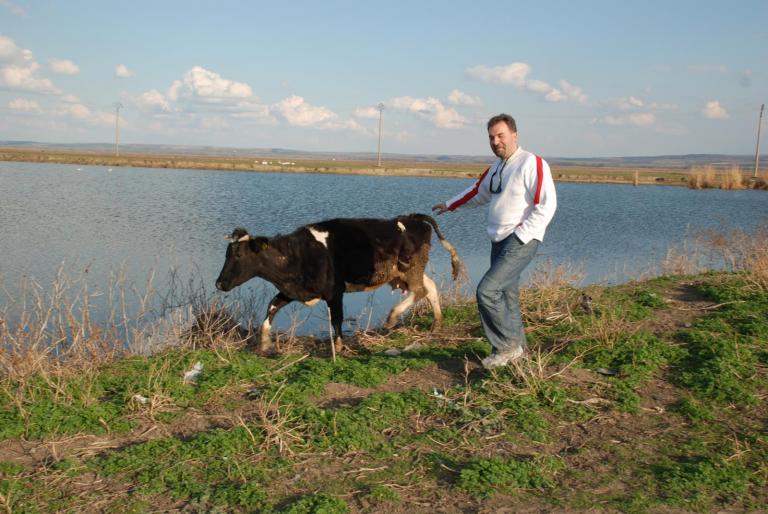 Afbeelding 110 - VERISOARA MEA FAVORITA