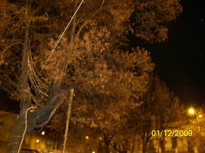 100_6096 - 1 Decembrie Timisoara