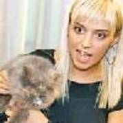 QymZuj717587-01 - diana dumitrescu in realitate