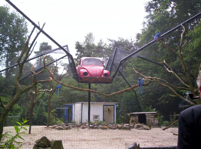 centrul papagali (92)