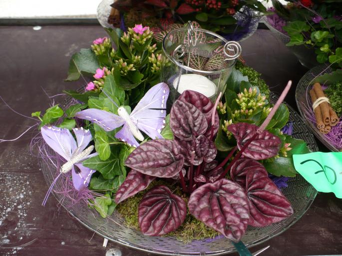 P1010182 - Pitesti 19 aprilie 2008 - I