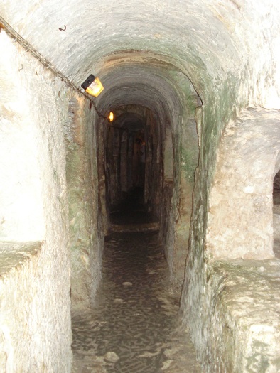 DSC04484