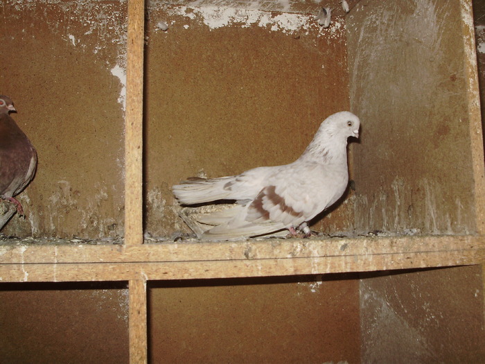 P9061419