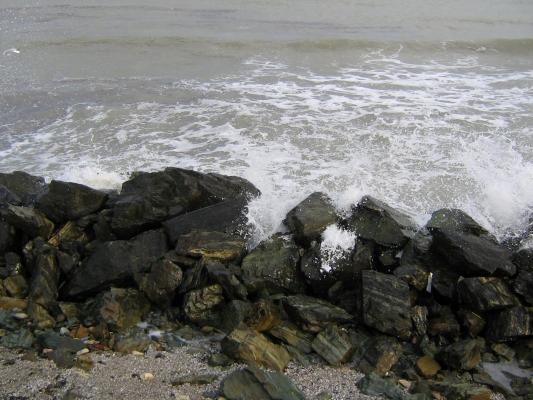 IMG_0108 - BlacKandWhitE SeA