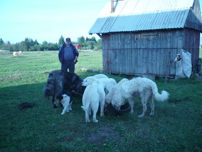 SUPER CATEI KUVAS SI CIOBANESC CAUCAZIAN - CONCEDIU JOSENI SEPTEMBRIE 2009