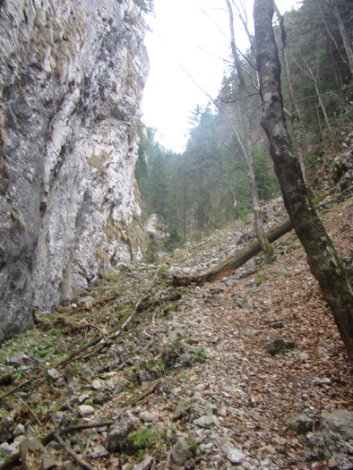 DSC04572