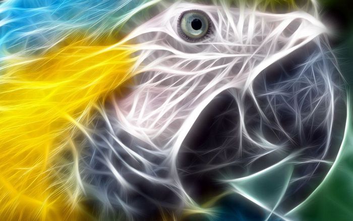 Layer-Eagle - Vibrant Colors Wallpapers