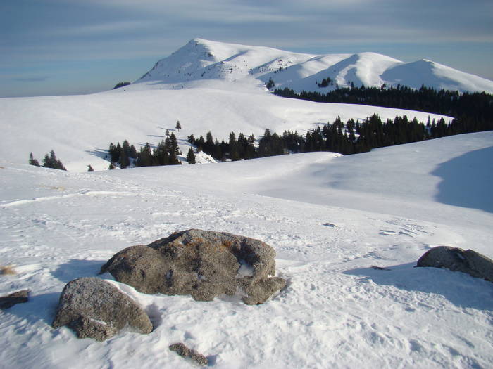 DSC01191 - Bucegi - Valea Izvorul Dorului-Padina