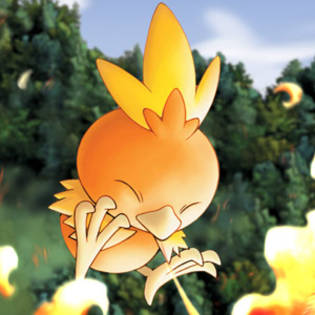 imagenes-pokemon-torchic-p