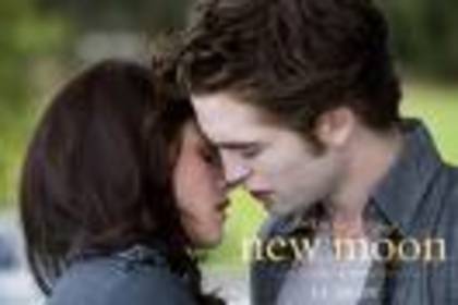 new moon - Twilight 14