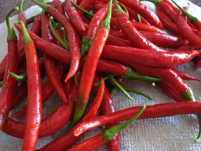 Tokyo Hot Peppers (2009, September 02) - Tokyo Hot Pepper