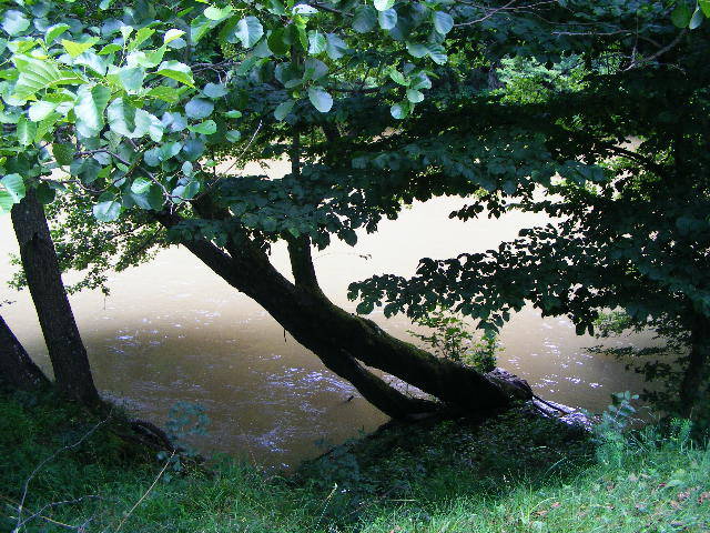 DSCF2608