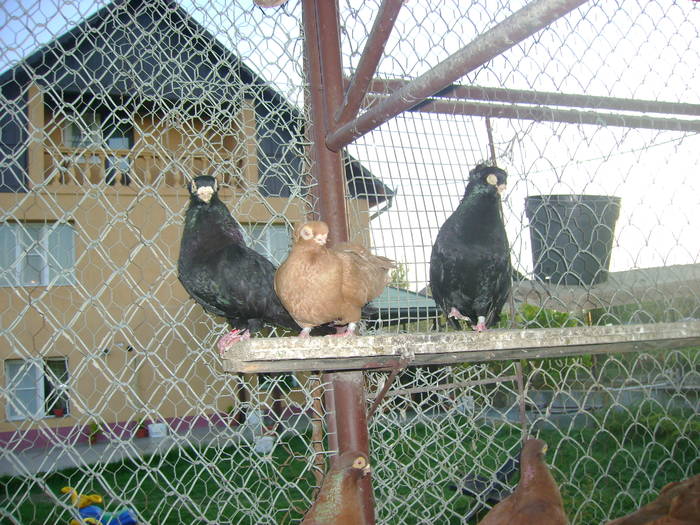 DSC02365