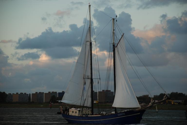 Afbeelding 12