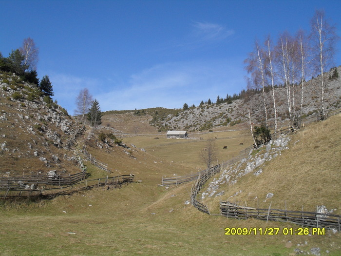 SDC10682 - cheile gradistei