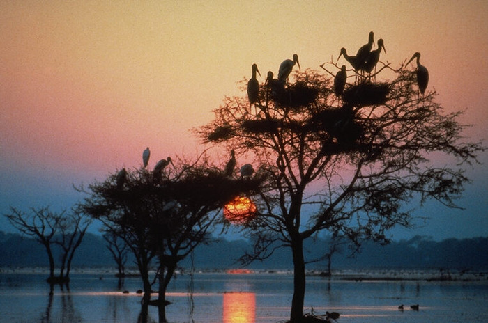 039 - poze noi