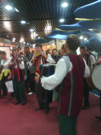 Imagine1161 - ApiMondia