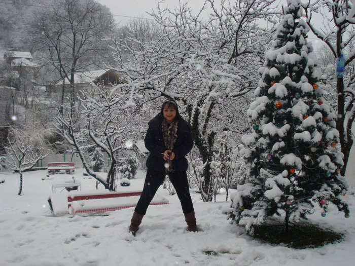 DSC06499 - 2010 REVELION SIBIU