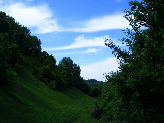 DSCF0595