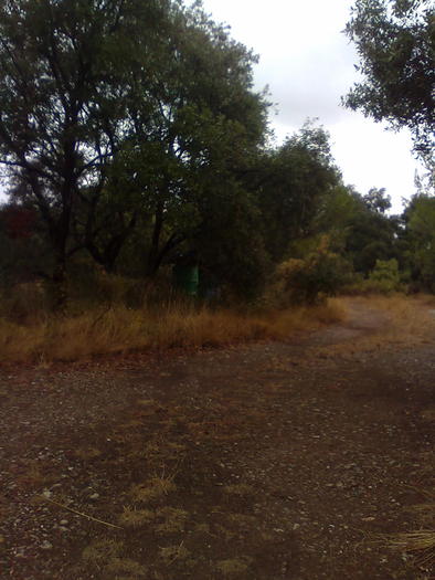 infrastructura proprie Mahmoud. - ApiMondia