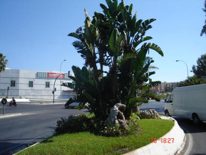 40 Torremolinos-Benalmadena - Torremolinos
