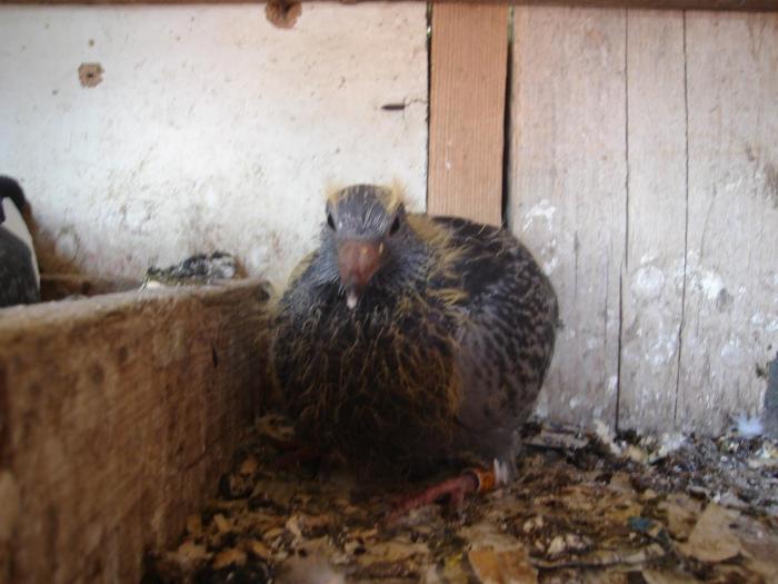 DSC01469 - Acum muuuult timp