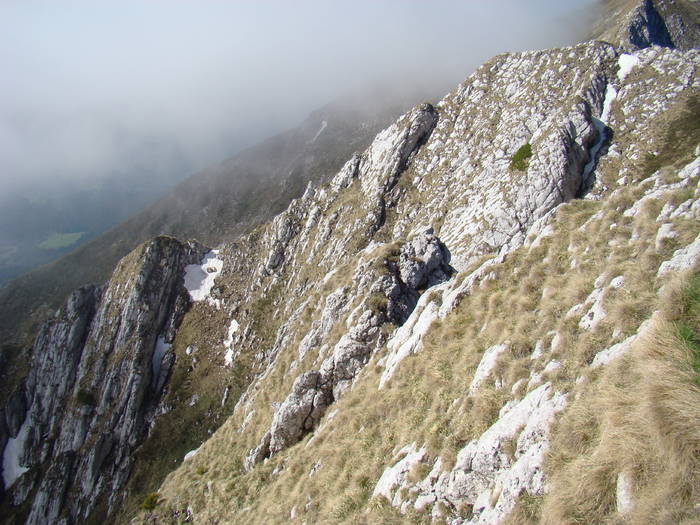 DSC03235 - Piatra Craiului MAI