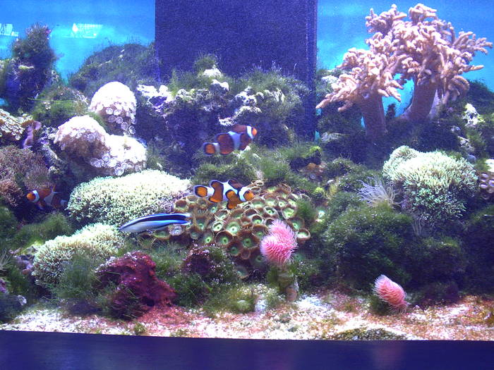 PICT0102 - EXCURSIE  in DELTA