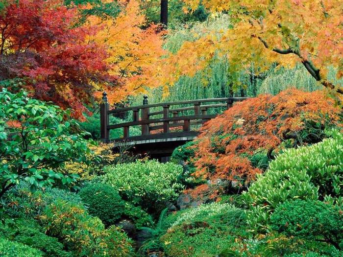 Japanese Garden, Washington Park, Portland, Oregon - super imagini