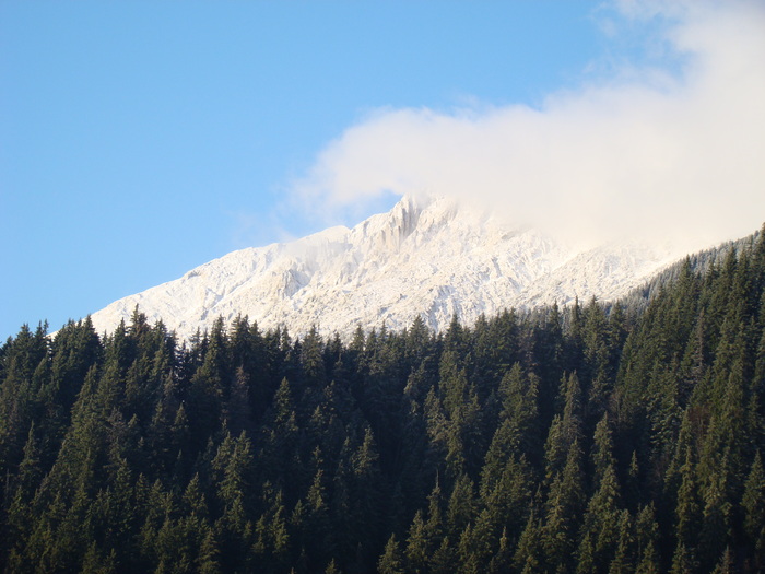 DSC04598 - Valea Crapaturii - Piatra Craiului