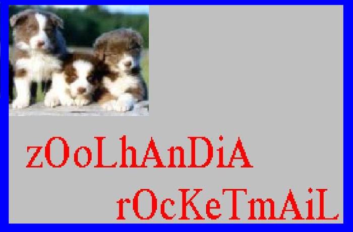 ZoolhandiaRocketmail; Intrare Zoolhandia Rocketmail
