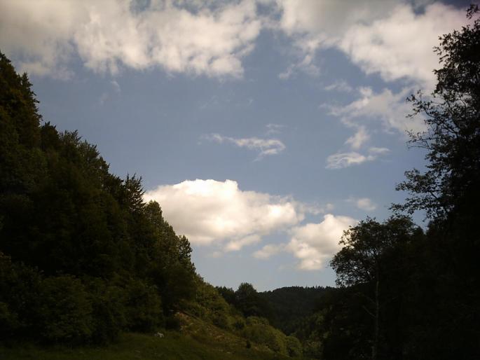 PICT0129